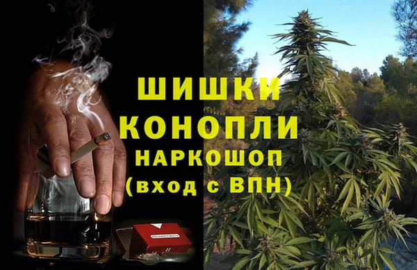 гидропоника Лагань