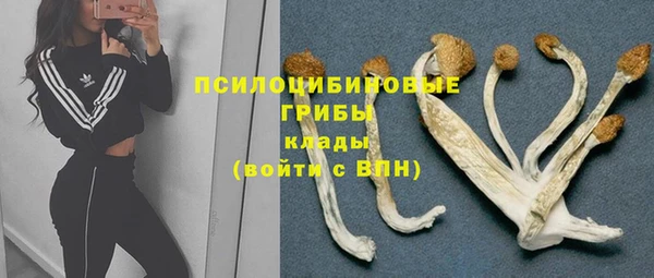 первитин Лабытнанги