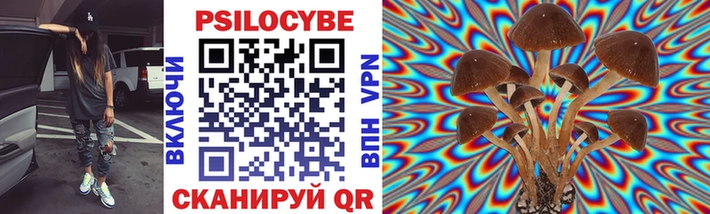 Галлюциногенные грибы мухоморы  купить наркотики сайты  Долгопрудный 