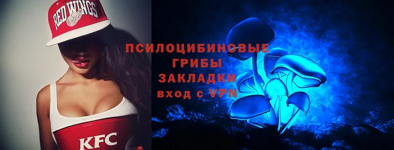 Галлюциногенные грибы Magic Shrooms  Долгопрудный 