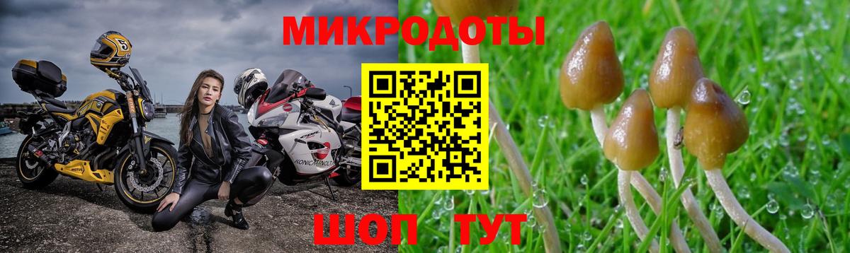 как найти закладки  Вход с VPN  Долгопрудный  Псилоцибиновые грибы мухоморы  Псилоцибиновые грибы прущие грибы 