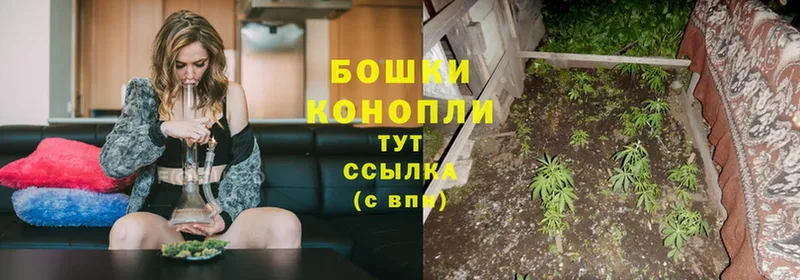 МАРИХУАНА гибрид  Долгопрудный 